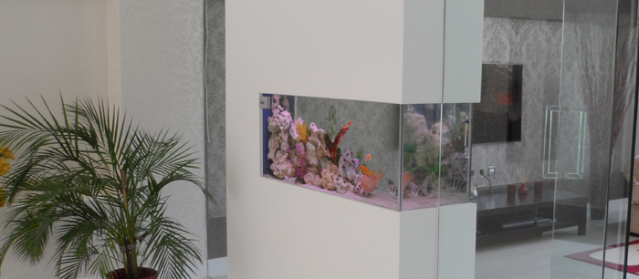 designer fish tanks