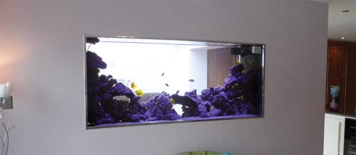 fish tank installtaions