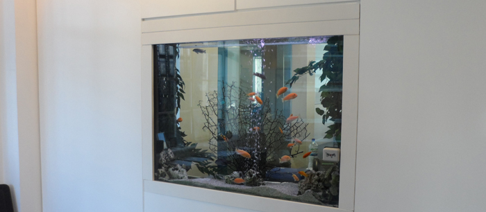 fish tanks in walls